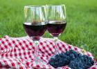 Приготовление вина из винограда изабелла в домашних условиях