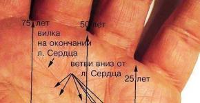 Palmistry line heart three branches at the end