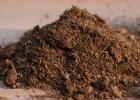 Organic fertilizers: types and methods of application What is included in organic fertilizer