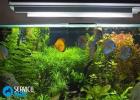 We illuminate the aquarium with LED lamps. DIY do-it-yourself aquarium lighting for the herbalist