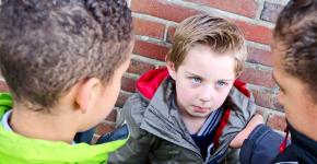 Bullying - what is it, how to identify and fight bullying at school, at work, in the family?