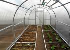 We build an inexpensive greenhouse with our own hands - successful projects in photo and video