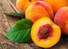 Rules for growing peach from seed at home