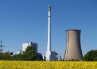 How does a thermal power plant (CHP) work?