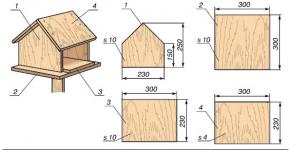 DIY bird feeder with drawing