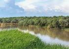 Descripción, recursos pesqueros y ecología del río Kuban.