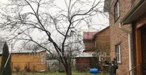 Tree pruning Types of tree pruning