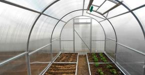 How to make a greenhouse with your own hands: the choice of materials and manufacturing steps