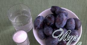 Plum puree for the winter at home
