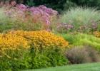 What you need to do in September in the garden