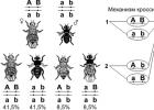 Who discovered the phenomenon of linked inheritance