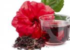 Hibiscus tea: useful properties, contraindications, benefits and harms