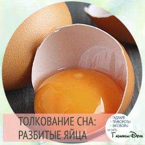 What does a warm egg dream of?