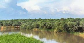 Descripción, recursos pesqueros y ecología del río Kuban.