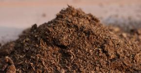 Organic fertilizers: types and methods of application What is included in organic fertilizer