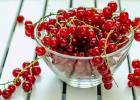 How to make porechka (red currant) jam