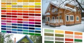 Kokiais dažais geriausia dažyti medinio namo išorę?