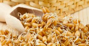 Idandatud nisu: eelised ja rakendused Mida ravib idandatud nisu?