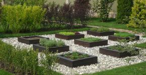 Landscape design of a garden plot - how to design a beautiful garden and vegetable garden at the dacha