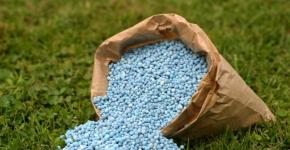 What fertilizers are considered phosphorus-potash - varieties with names