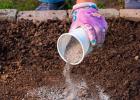 Wood ash as a fertilizer: how to apply in the garden