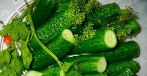 Lightly salted cucumbers in mineral water