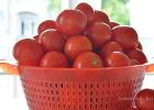 Talven säilyttäminen - tomaatit ja kurkut