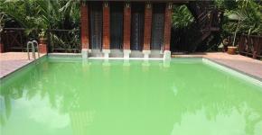 Da preprečite cvetenje vode v bazenu, ljudska pravna sredstva