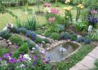 Do-it-yourself pond from a bathtub in the country (photo)