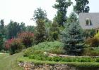 Canadian spruce: planting and care at home
